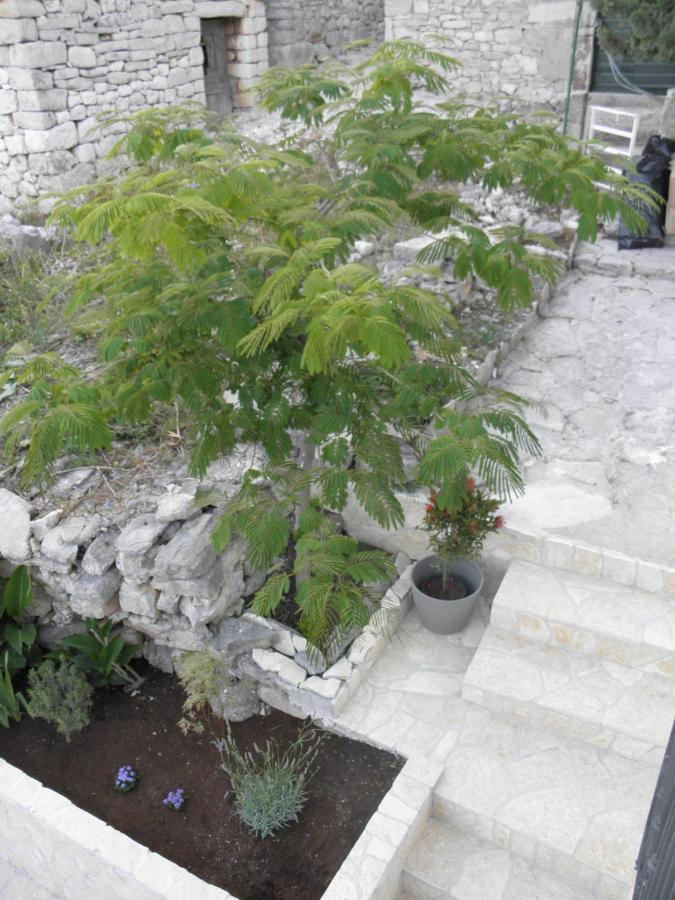 Apartmani Adam Primosten Exterior photo